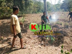 Babinsa lakukan sosialisasi kepada petani