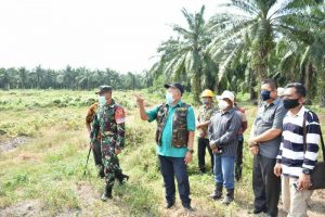 PP Lonsum Sediakan Pemakaman Korban Terjangkit Covid-19