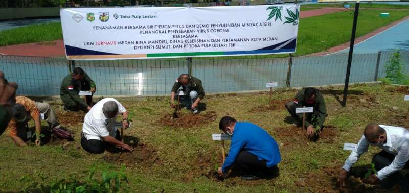 Tangkal Virus Corona, Eucalyptus Ditanam di Taman Cadika Kota Medan