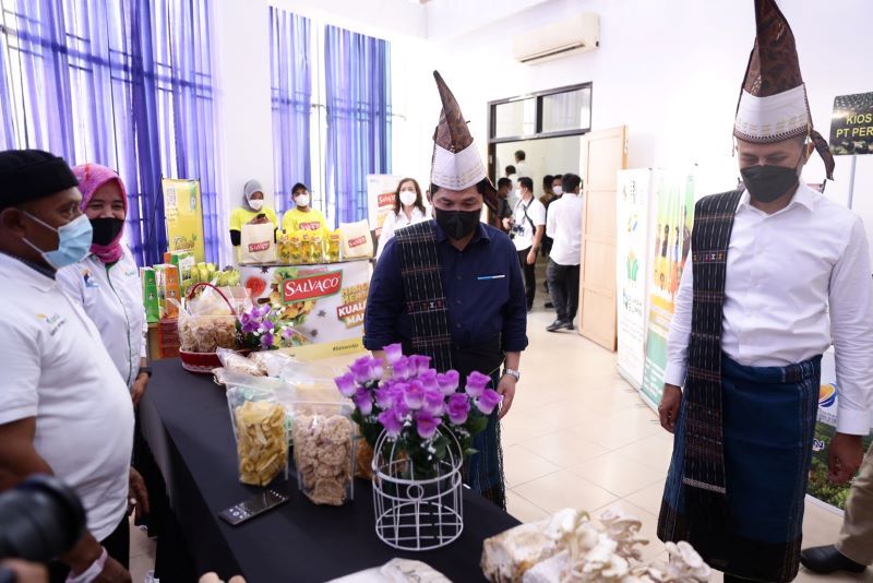 Menteri BUMN: Kebun Toga Bisa Dikembangkan di Pekarangan Rumah