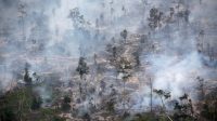 Hutan_1 Lahan di Indonesia, 4,69 Juta Hektare lahan telah Terdegradasi
