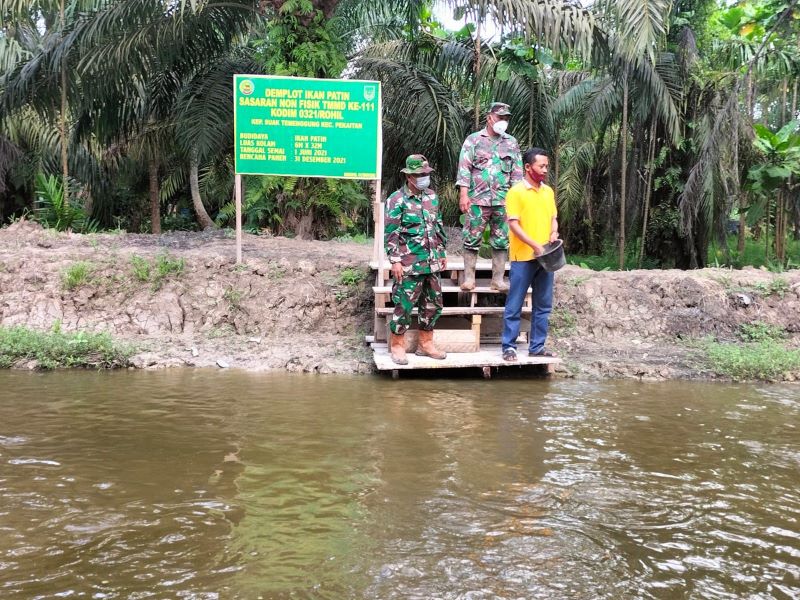 Demplot Budidaya Ikan Patin Program TMMD, Kasdim 0321/Rohil Kunjungi Lokasi Kolam
