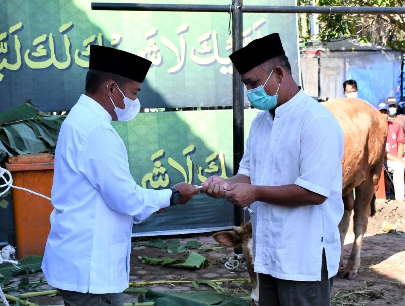 Pangdam I/BB Beserta PJU Qurbankan Sapi dan Kambing