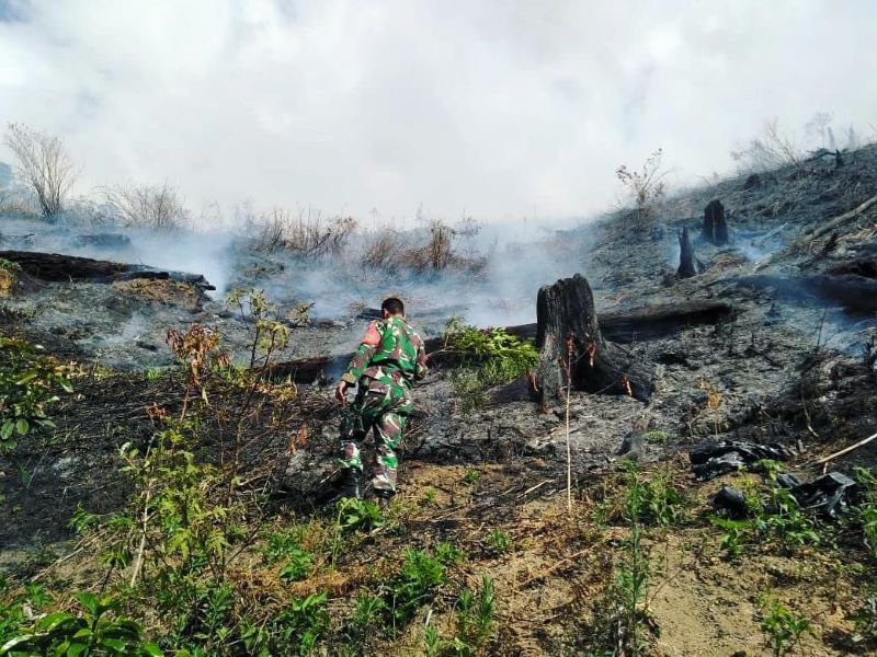 Sering Kebakaran Karhutla, Dandim: Aceh Tengah Bisa Bernasib Seperti Turki