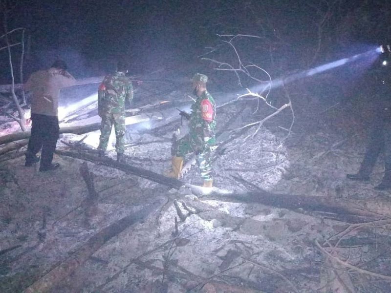 Tiga Hektar Lahan di Pidie Terbakar, Titik Api Terpantau dari Hot Spot