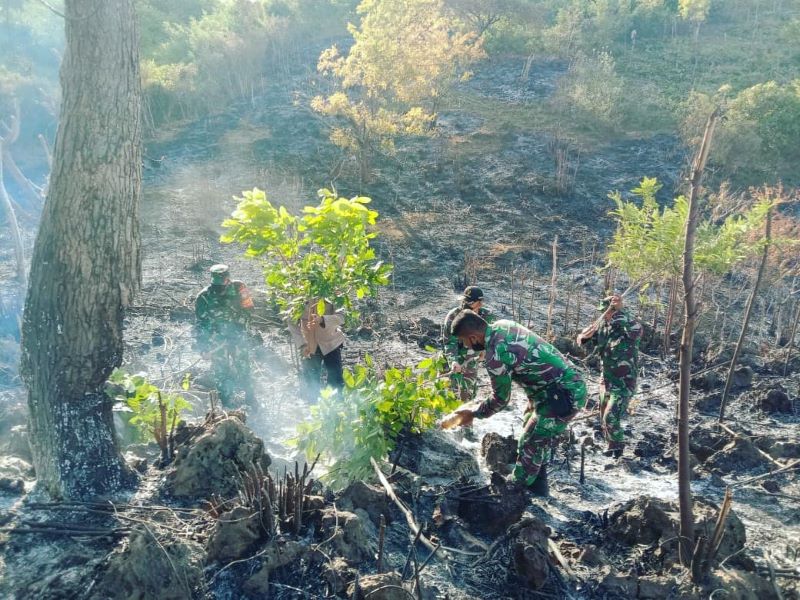 Waspada Karhutla, TNI Gunakan Aplikasi Hotspot Untuk Temukan Kebakaran Lahan di Pidie
