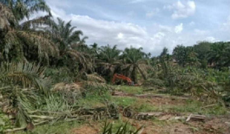 Dua Tahun Dipolisikan, Satu Nama Terlapor Kasus Pengrusakan Kebun Sawit Mendadak Hilang