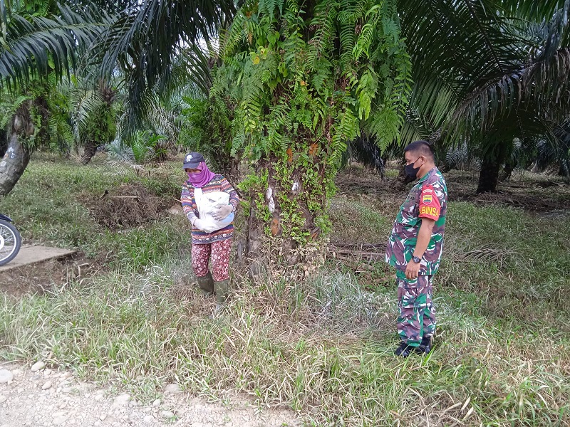 Babinsa Koramil 04-Pinangsori Gelar Komsos Bersama Buruh Harian Lepas