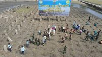 Pangdam Iskandar Muda Bersama Masyarakat Tanam Mangrove di Pulau Seumadu