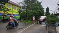 Hujan Deras Sebabkan Pohon Tumbang ke Jalan Kota Lhokseumawe