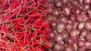 Harga bahan pangan hari ini di Sumatera Utara, Rabu (16/9/2026), masih menunjukkan pergerakan yang beragam. Sejumlah komoditas kebutuhan pokok mengalami perubahan harga di tingkat pasar, terutama komoditas hortikultura seperti cabai dan bawang.