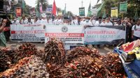 Demokrasi Indonesia Dinilai Kian Merosot