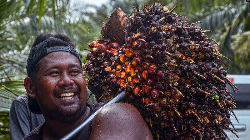 Larangan Ekspor Sawit Indonesia Sebabkan Harga Minyak Nabati Melonjak