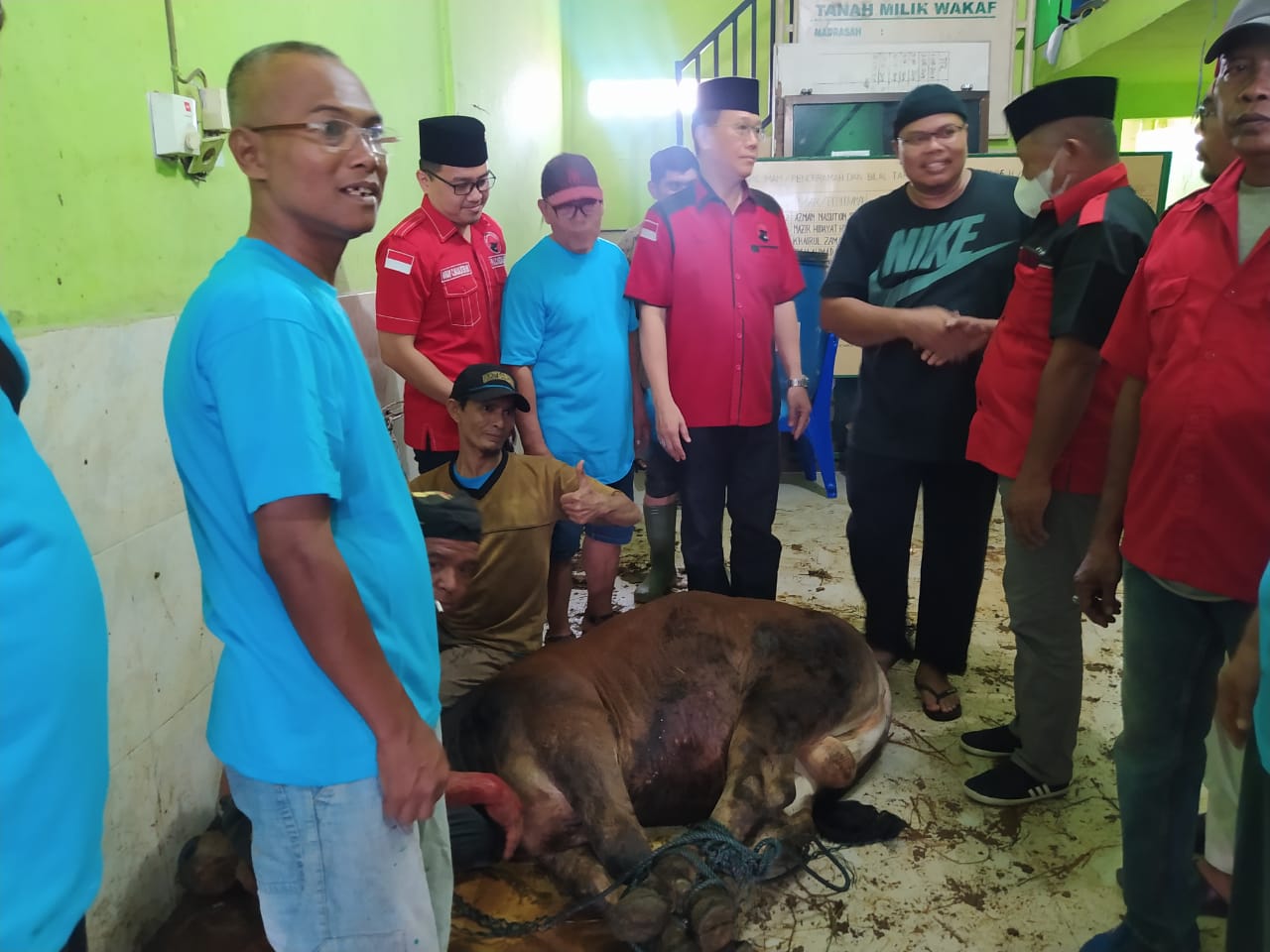 DPC PDI Perjuangan Kota Medan Sembelih 7 Lembu dan 2 Kambing