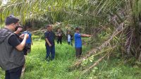 PTUN Lakukan Sidang Lapangan, Kelompok Tani Patok Besi Minta Batalkan HGU PT Merbaujaya Indahraya