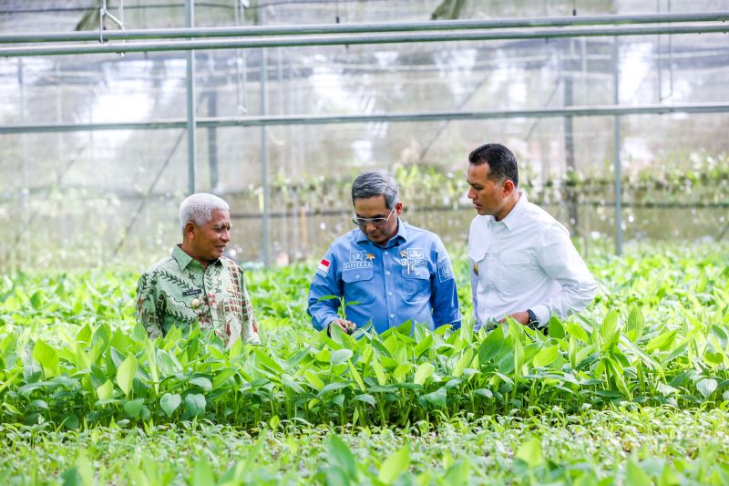 Kunjungi Asahan Bersama Wagub, Wamentan Ingatkan Pentingnya Hilirisasi Melalui BUMD