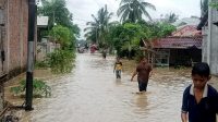 6 Kecamatan Aceh Utara Terendam Banjir, 19,213 Jiwa Warga Terdampak dan Mengungsi