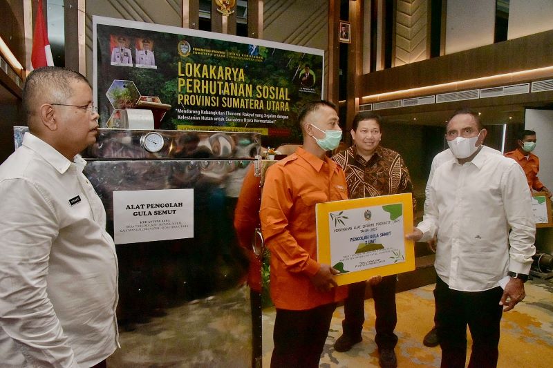 Gubernur Sumut Terus Perkuat Perlindungan Hutan dari Segi Keamanan dan Tata Kelola
