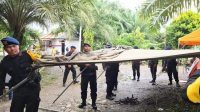 Bantu Warga Terdampak Banjir di Langkat, Personil Brimob Batalyon A Dirikan Tenda Pengungsian Bantu Warga Terdampak Banjir di Langkat, Personil Brimob Batalyon A Dirikan Tenda Pengungsian