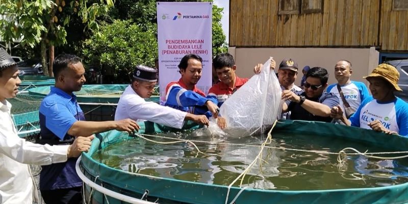 Optimalkan Hasil Budidaya, Pertagas Selenggarakan Pelatihan Olahan Ikan Lele di Stabat Lama