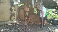 Pasca Polda Sumut Tangkap Pembalak Mangrove, dengan kesadaran Warga Bongkar Dapur Arangnya