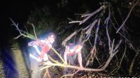 Kerahkan Patroli Malam secara Intens, Polres Nias Selatan Menyingkirkan Ranting-Ranting Pohon Yang Tumbang