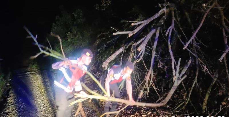 Kerahkan Patroli Malam secara Intens, Polres Nias Selatan Menyingkirkan Ranting-Ranting Pohon Yang Tumbang