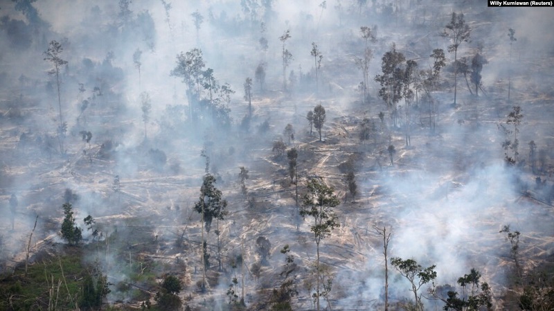 Malaysia Tuding Indonesia Sebagai Penyebab Kabut Asap dan Polusi Udara