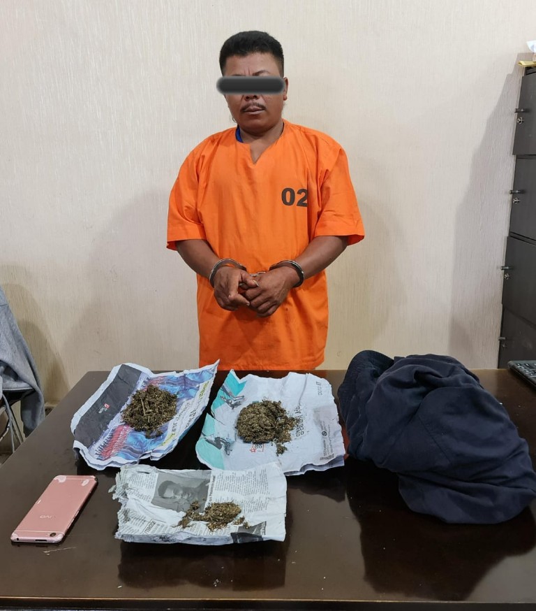 Miliki Ganja, AM Ditangkap Satnarkoba di Pinggir Jalan Desa Kacaribu