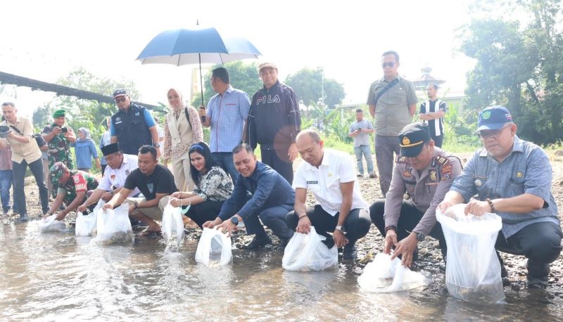 Bupati Tapsel Tebar Benih Ikan Nila di Muara Purba Nauli dan Sori Manaon
