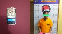 Polres Labuhanbatu Ringkus Koling Karena Nekat Jual Sabu