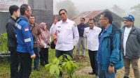 KLIKFOTO_Bibit Kopi Wakil Bupati Tapsel Optimis Daerahnya Jadi Sentra Penghasil Kopi Agroforestry