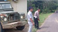 Dua Anak Pria Tewas Akibat Adu Kambing dengan Mobil Pick Up Land Rover Jadul