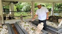Pulkam dan Ziarah Ke Makam Ayah, Bupati Tapsel Bawa Oleh-Oleh Ke Warga Tanjung Rompa