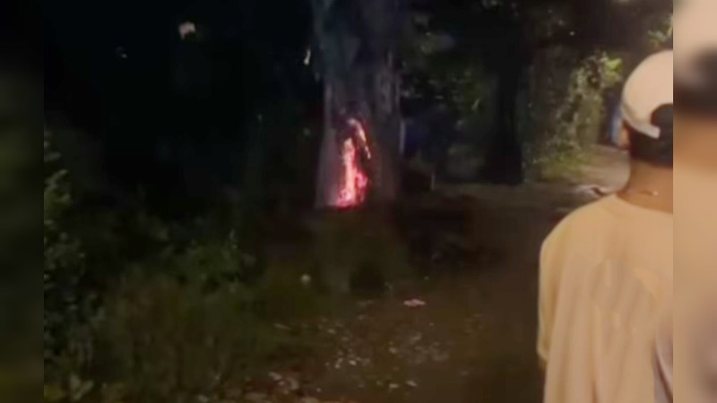 Di Jalan DI Panjaitan... OTK Bakar Pohon Besar, Warga Kesal dengan Ulah Orang Tak Terpuji Itu