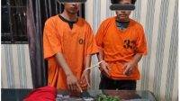 Miliki Ganja, Dua Warga Berastagi Diamankan Satnarkoba Polres Karo