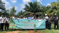 PTPN IV Regional II Peringati Hari Lingkungan Hidup Sedunia dengan Penanaman Pohon dan Penaburan Ikan