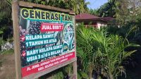 Generasi Tani Dongkrak Kemajuan Ekonomi di Indonesia