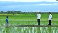 Jokowi: Pemerintahan Prabowo akan Fokus ke Sektor Pangan dan Energi