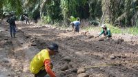 Bangun Jalan, Satgas TMMD 121 Kodim 0204 DS Tetap Jaga Konsistensi Kualitas (2) Bangun Jalan, Satgas TMMD 121 Kodim 0204/DS Tetap Jaga Konsistensi Kualitas