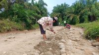 Hari Libur, Warga Turun Membantu Pekerjaan Jalan TMMD 121 Kodim 0204 DS Hari Libur, Warga Turun Membantu Pekerjaan Jalan TMMD 121 Kodim 0204/DS