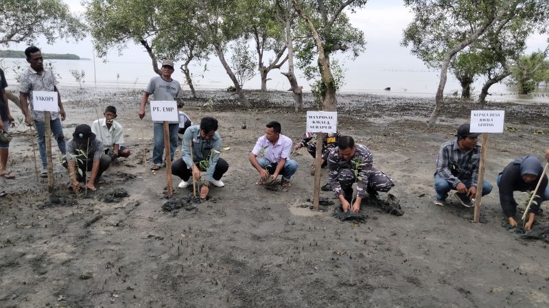 EMP Gebang Bersama Stakeholder Tanam 1.500 Bibit Mangrove untuk Kelestarian Ekosistem Pesisir