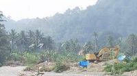 Ekskavator Tambang Emas Kembali Hancurkan Hulu Sungai Batang Gadis, Warga Khawatirkan Dampak Lingkungan