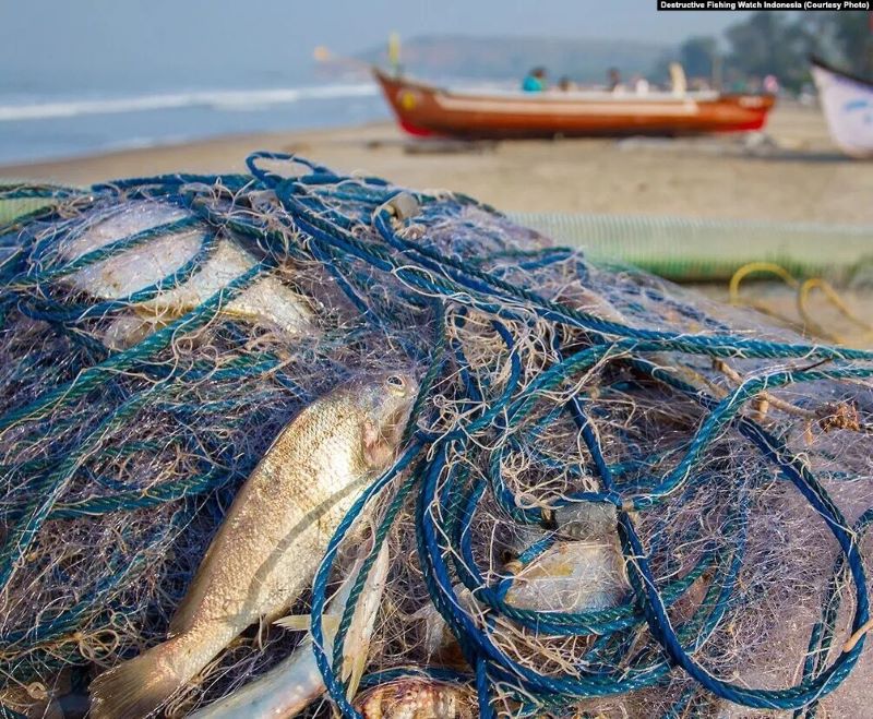 Jaring Hantu, Pembunuh Diam-diam Kehidupan Laut