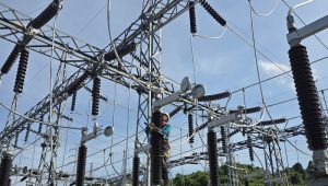 PLN Dorong Energi Bersih melalui Kolaborasi Strategis untuk Masa Depan Berkelanjutan