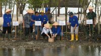 Pj Gubernur Sumut Agus Fatoni Tanam Pohon Mangrove yang Diberkati Paus Fransiskus di Serdang Bedagai Pj Gubernur Sumut Agus Fatoni Tanam Pohon Mangrove yang Diberkati Paus Fransiskus di Serdang Bedagai