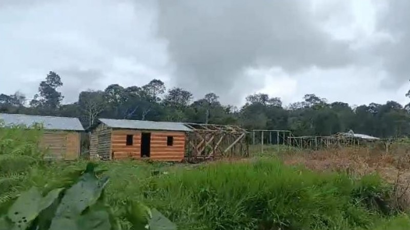 Puluhan Rumah Kayu Ilegal Berdiri di Hutan Lindung Parbuluan 1, Dairi