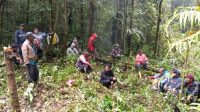 Pembukaan Jalan Baru dan Upaya Penyelesaian Konflik Lahan: Langkah Maju KTHW Parbuluan I untuk Pengembangan Hutan Wisata