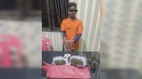 Simpan dan Tanam Ganja, PS Di Tangkap Polisi di Suka Nbebi