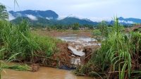 Warga Kluet Timur Minta Pemerintah Aceh Selatan Tangani Tanggul Sungai Yang Jebol Warga Kluet Timur Minta Pemerintah Aceh Selatan Tangani Tanggul Sungai Yang Jebol